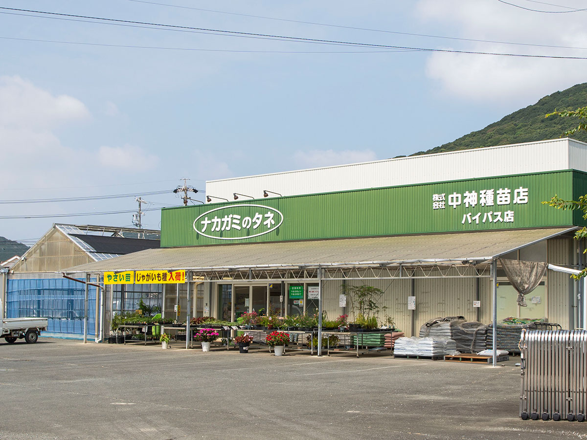バイパス店