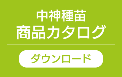 カタログダウンロード