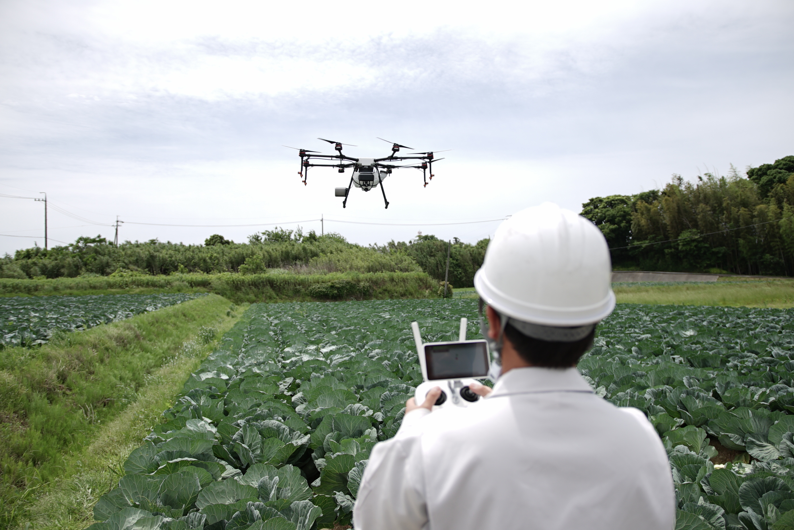 畑上空を飛行するドローンと操縦者